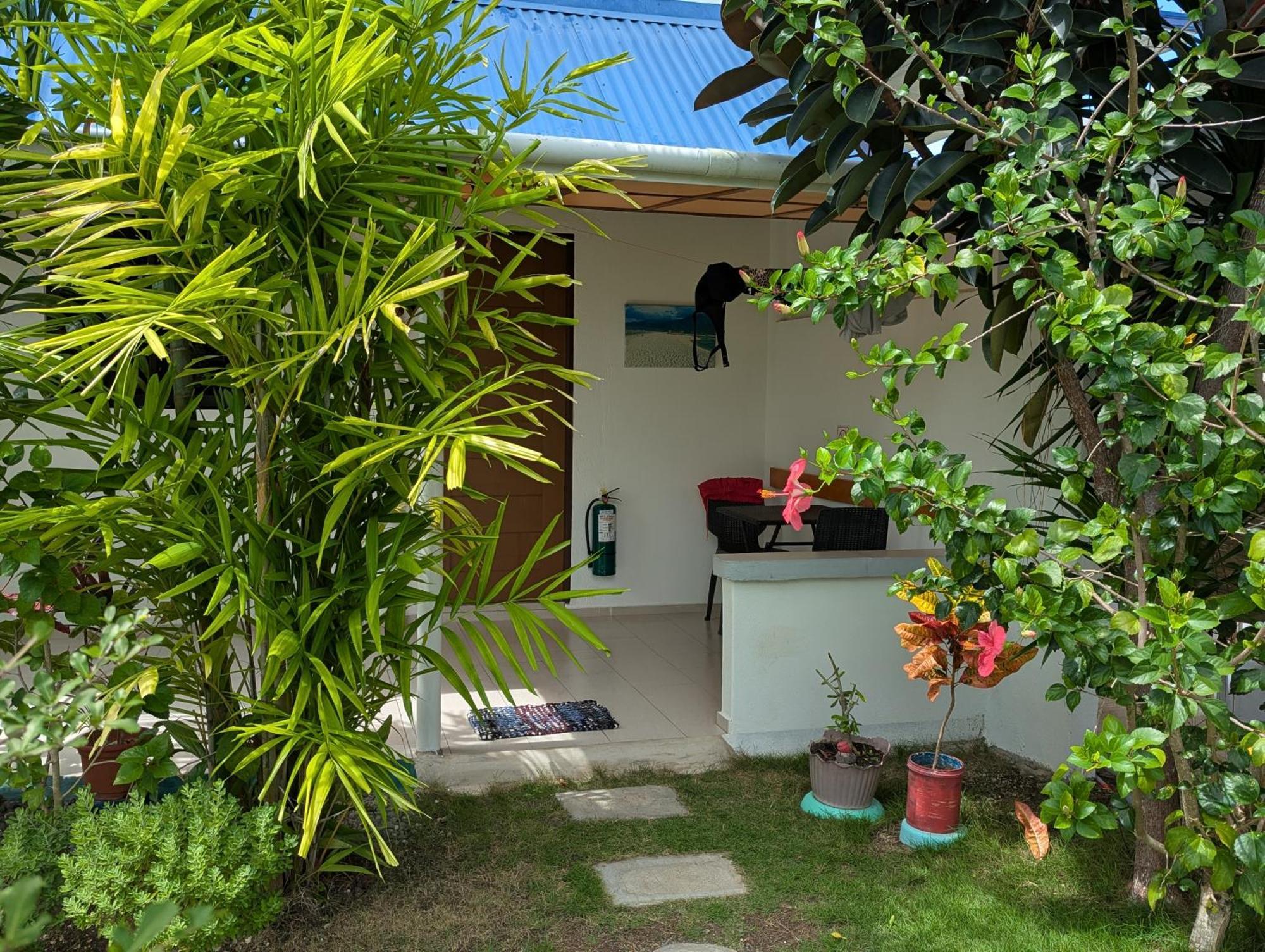 Astillo'S Guest Houses Moalboal Rom bilde